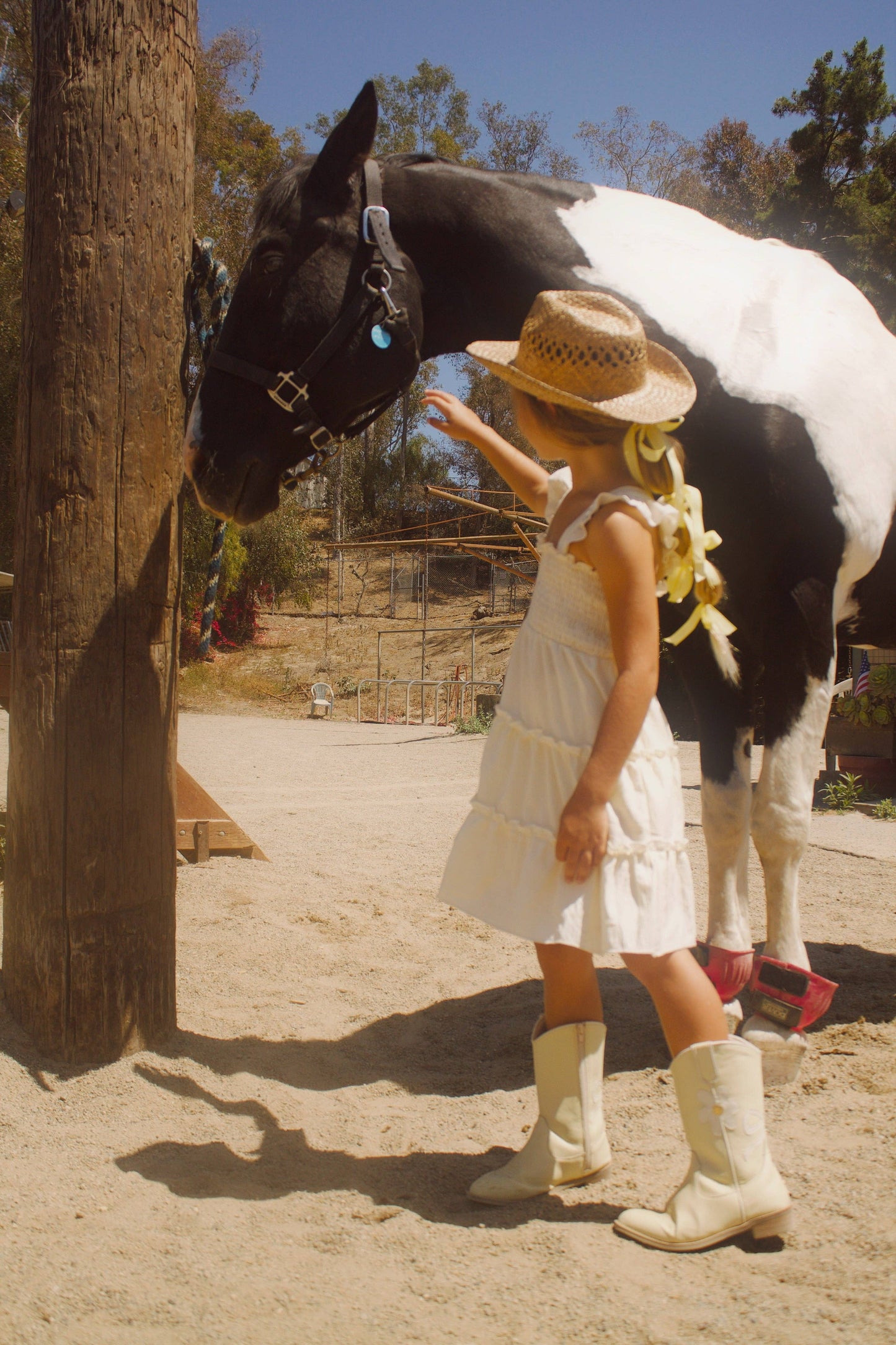 Young girl in a white dress and cowboy hat standing next to a black and white horse.