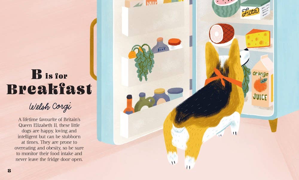 Illustration of a Welsh Corgi in front of an open refrigerator with food items, text about the breed on the left.