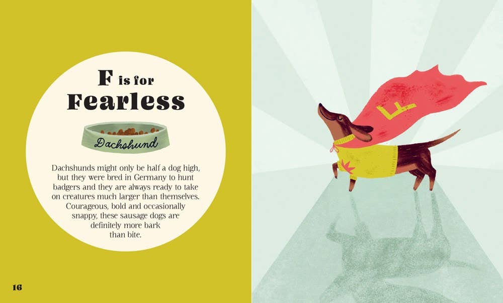 Illustration of a dachshund wearing a superhero cape with text about fearless dachshunds on a yellow and gray background.