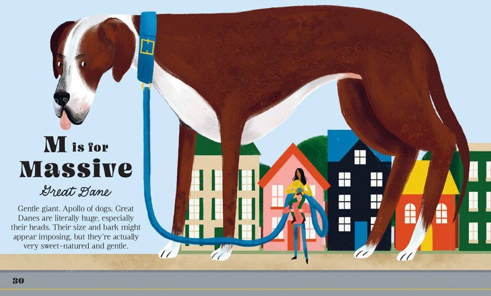 Illustration of a Great Dane dog with a person holding a leash, set against a colorful cityscape.