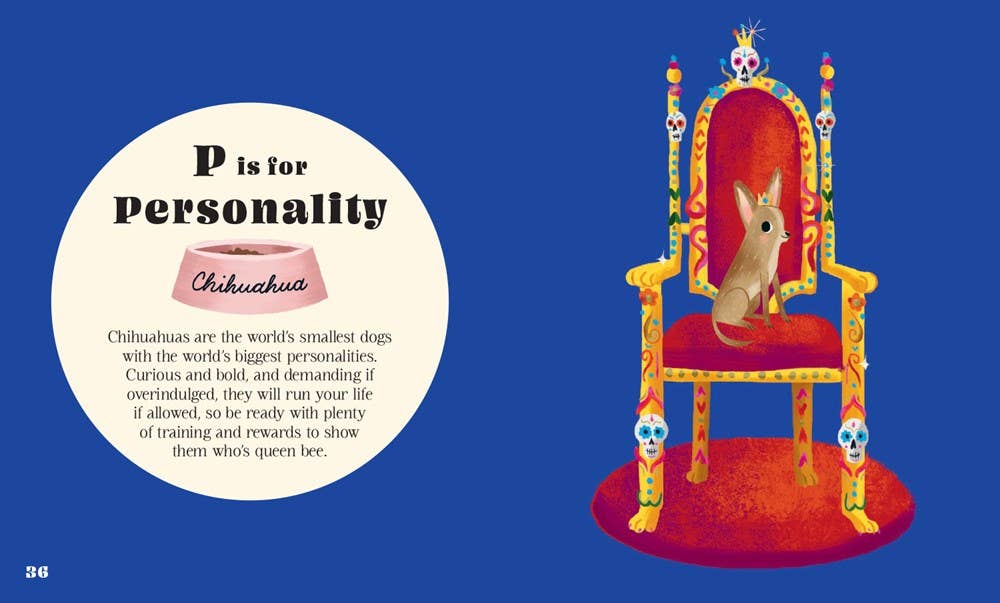 Illustration of a Chihuahua on a throne with text about the breed's personality on a blue background.