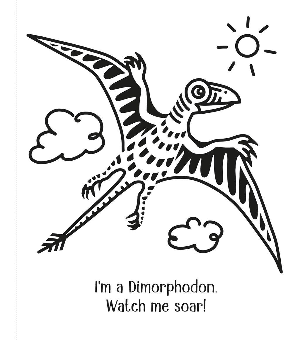 Black and white illustration of a Dimorphodon with text on a white background