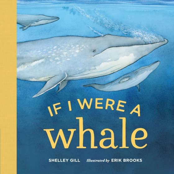 If I Were A Whale