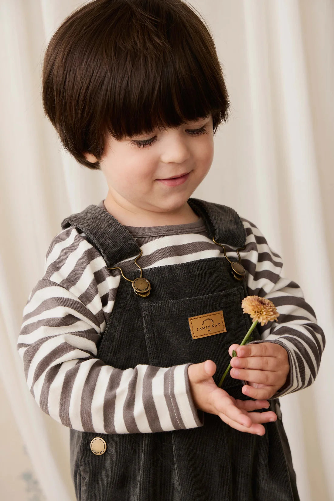 Child wearing a striped shirt and dark overalls holding a flower against a white curtain background