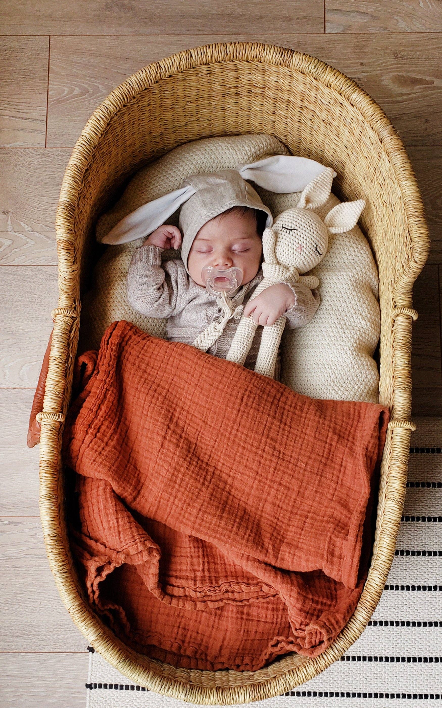 Newborn baby in a wicker crib with a red blanket, rabbit hat, and toy on a wooden floor.