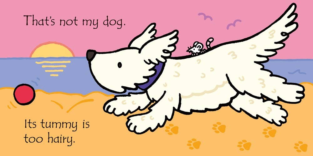 Illustration of a dog with a fluffy coat on a beach with text 'That's not my dog. Its tummy is too hairy.'