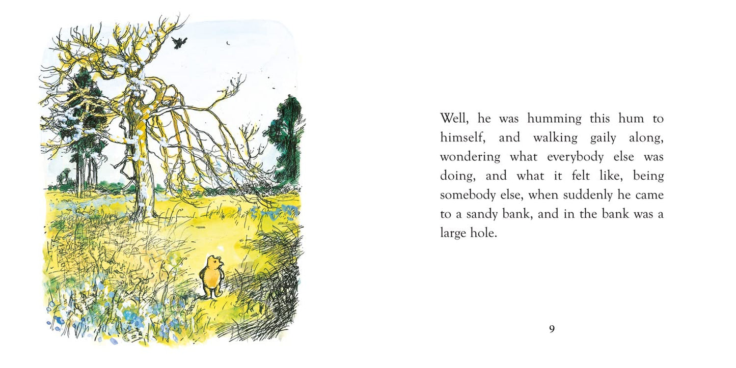 Illustration from a children's book with a bear in a field and text on a white background