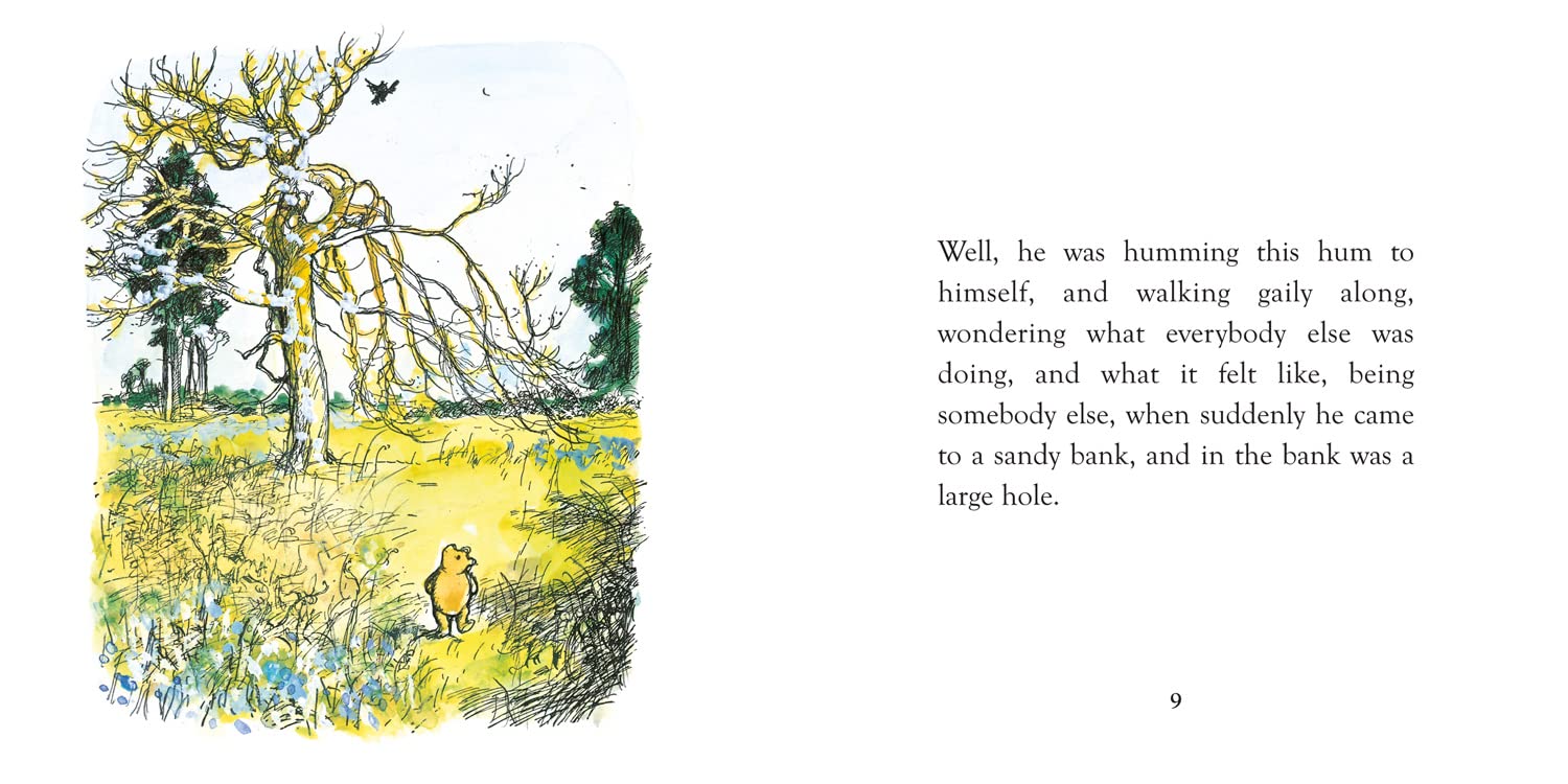 Illustration from a children's book with a bear in a field and text on a white background