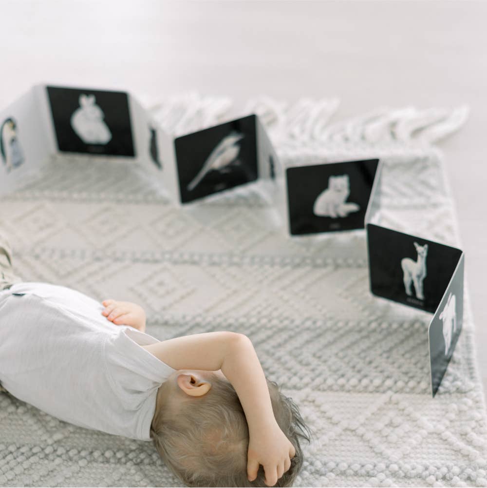 Baby's Black & White Contrast Book - Bossy Beans