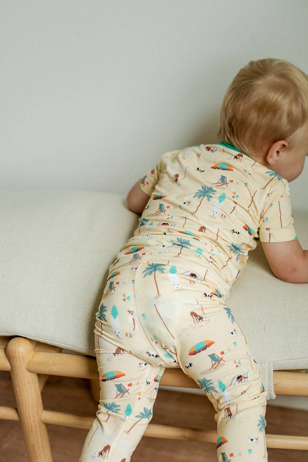 Beach Dog 2 Piece Bamboo Pajama Set - Bossy Beans