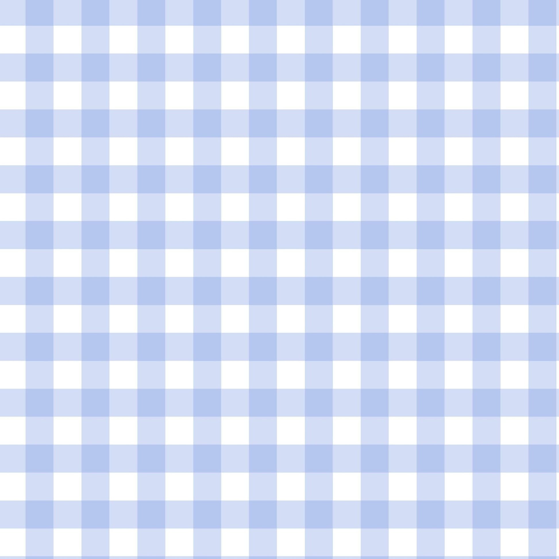 Blue Gingham Bamboo Blanket - Bossy Beans