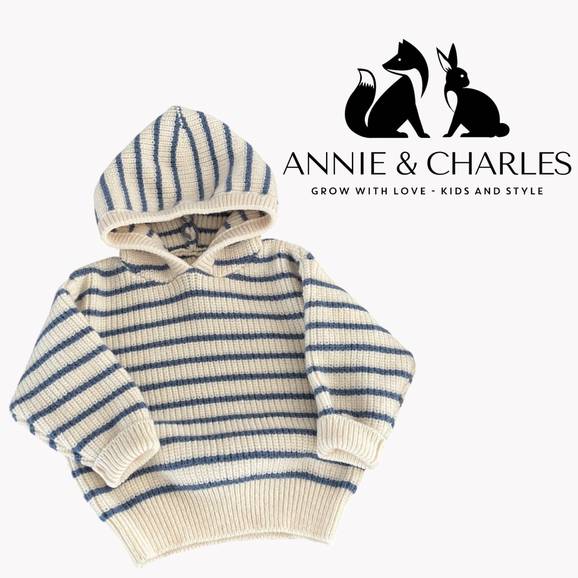 Striped hoodie with brand logo and name on a white background