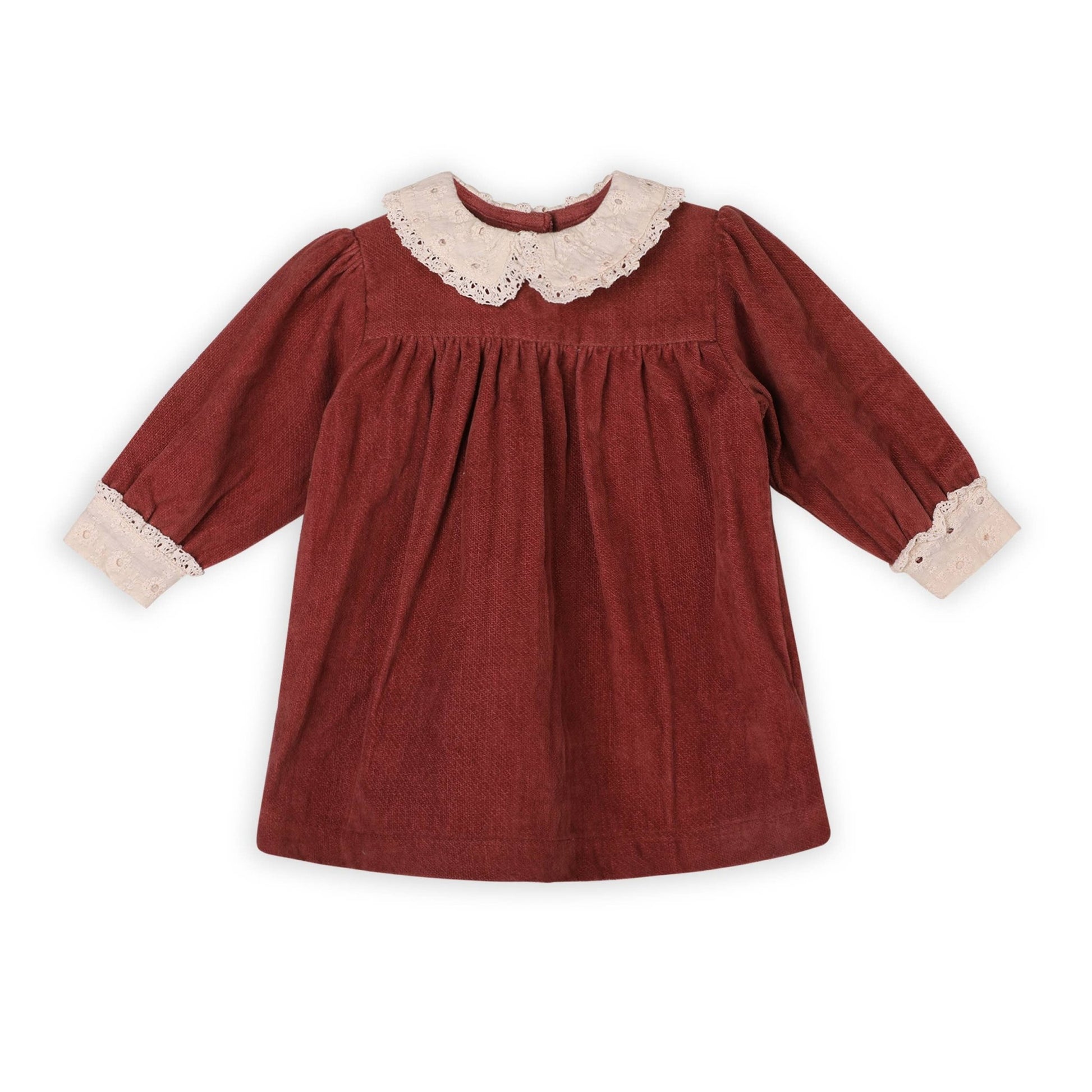 Lace Collar Velvet Baby Girl Dress & Bloomer Set (Organic): Apple Butter - Bossy Beans