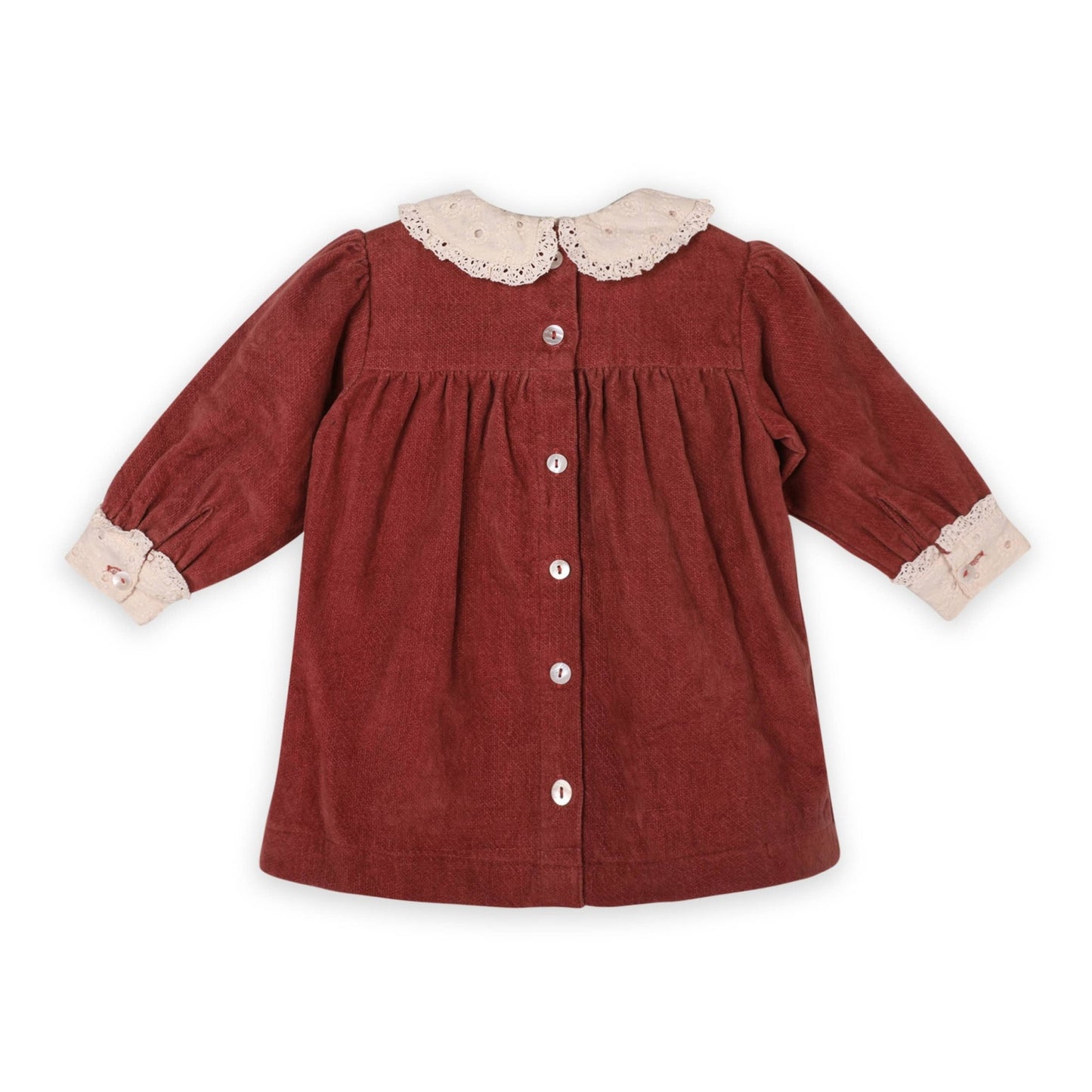 Lace Collar Velvet Baby Girl Dress & Bloomer Set (Organic): Apple Butter - Bossy Beans
