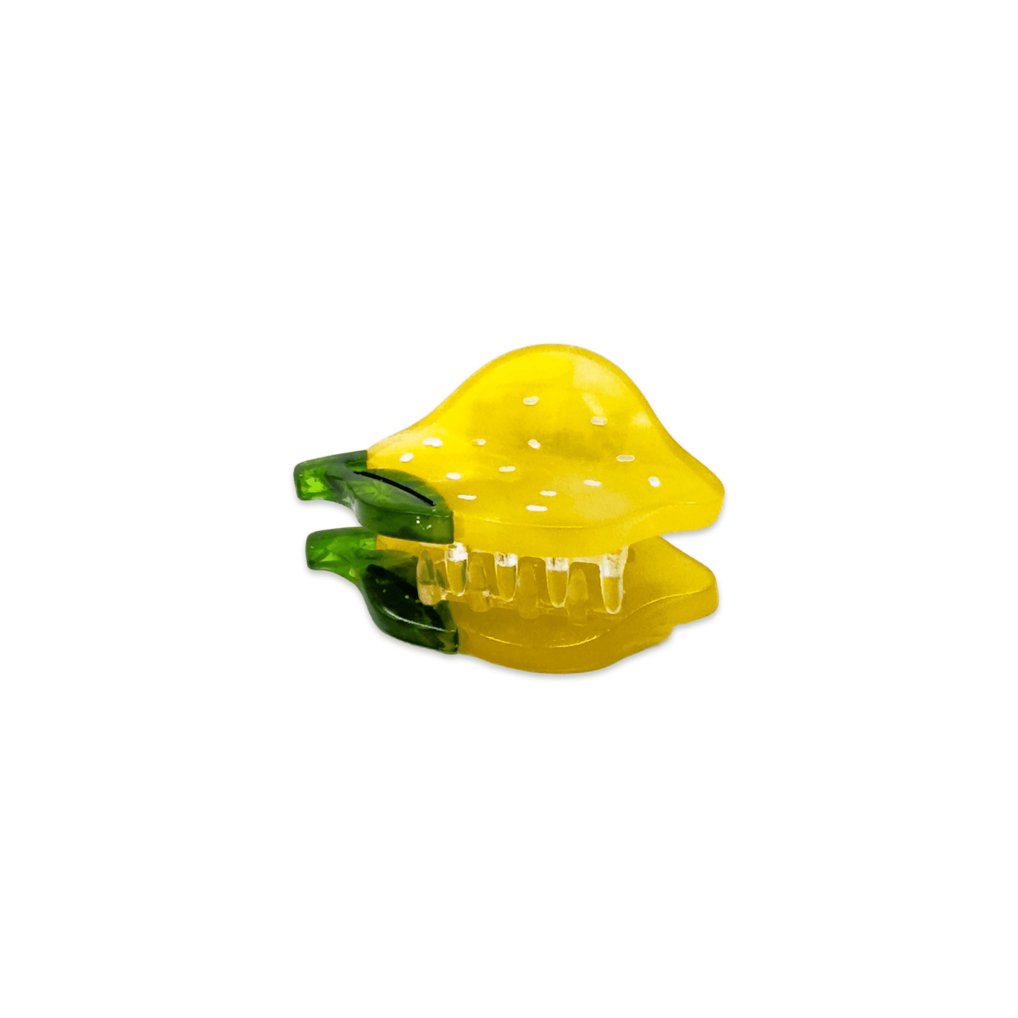 Micro Fruit and Flowers Hair Claw Clip Set - Bossy Beans