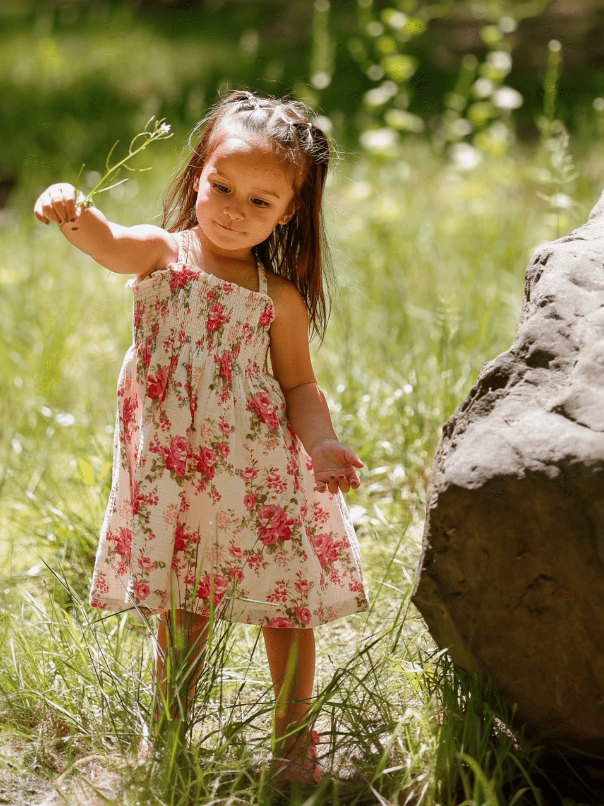 Organic Muslin Smocked Tube Dress: Country Daydream - Bossy Beans