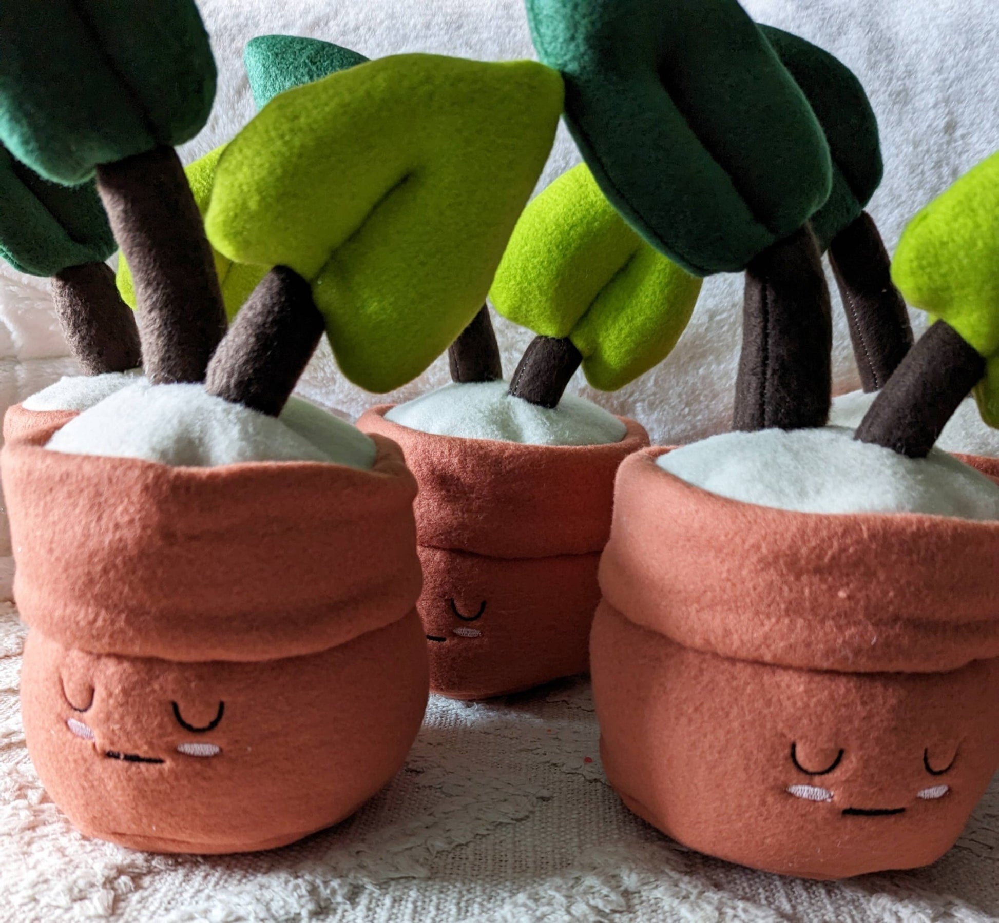 Bossy Beans Stuffie - Bossy Beans