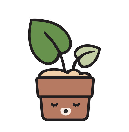 Gift Cards - Bossy Beans